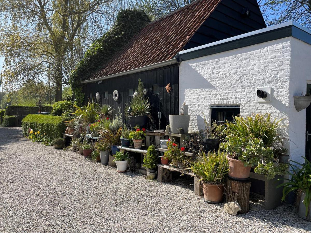 Vakantieoord "De Peppelhoeve" Koudekerke Exterior foto